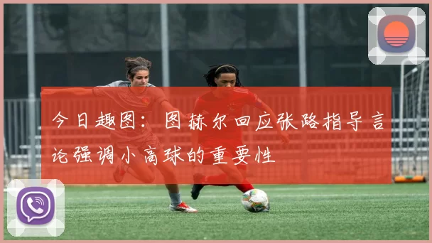 今日趣图：图赫尔回应张路指导言论强调小高球的重要性
