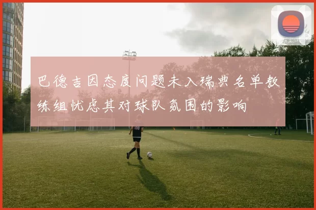 巴德吉因态度问题未入瑞典名单教练组忧虑其对球队氛围的影响