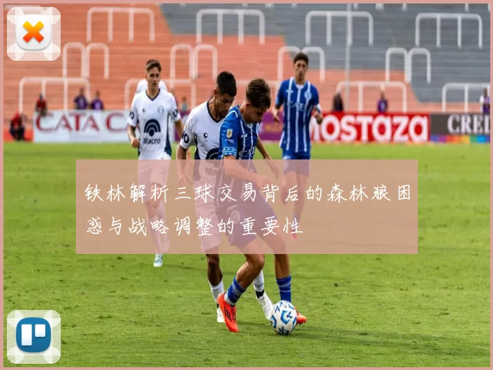 铁林解析三球交易背后的森林狼困惑与战略调整的重要性